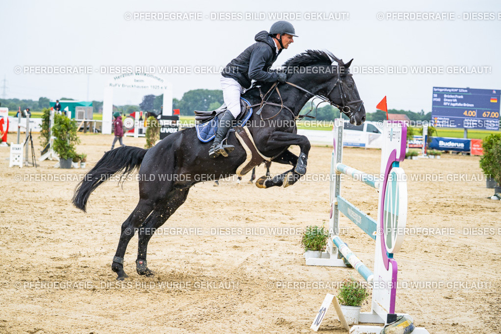 DSC08499 | Pferdegrafie