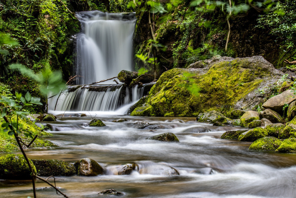 IMG_1151 | ehrlichefotos - Realisiert mit Pictrs.com