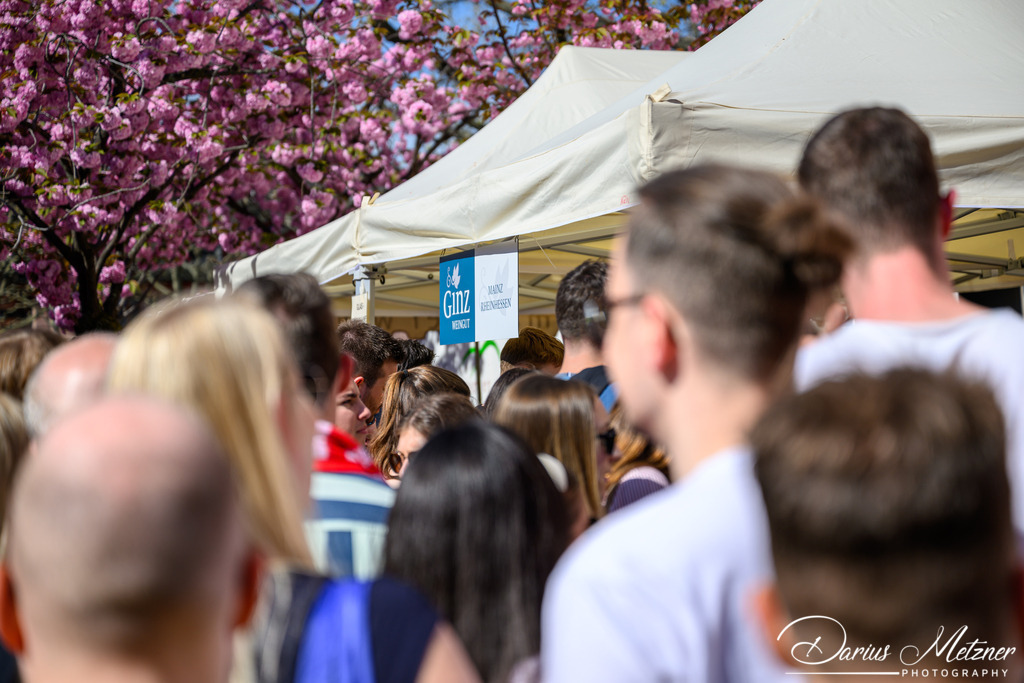 Das Marktfrühstück in Mainz | Das Marktfrühstück in Mainz auf dem Liebfrauenplatz