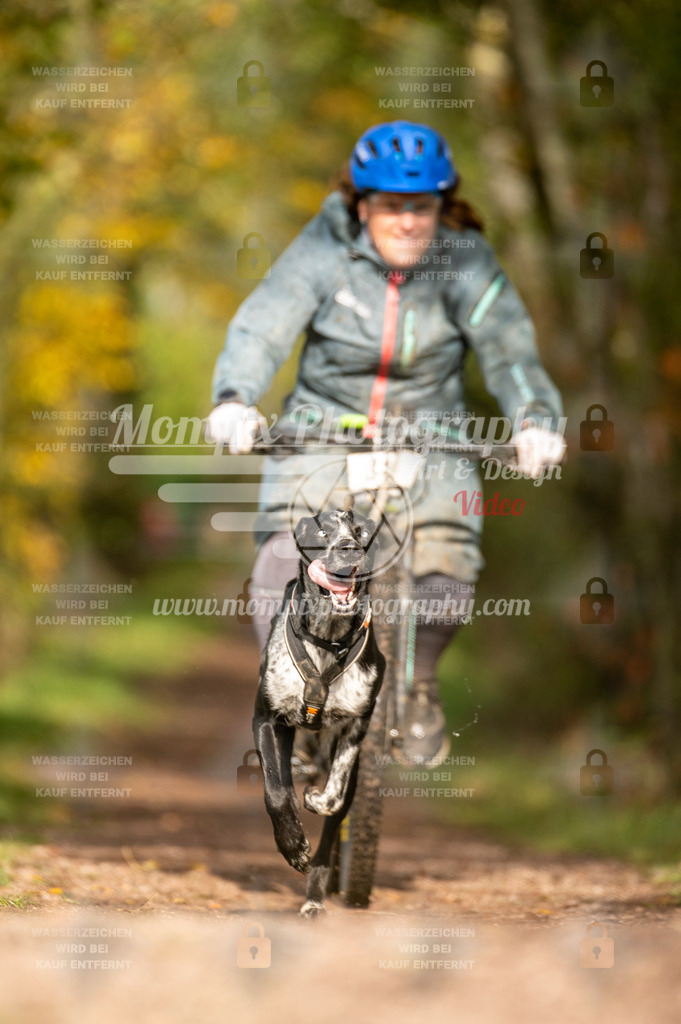 TSB_2023_E4_Bike-73 | PayLife