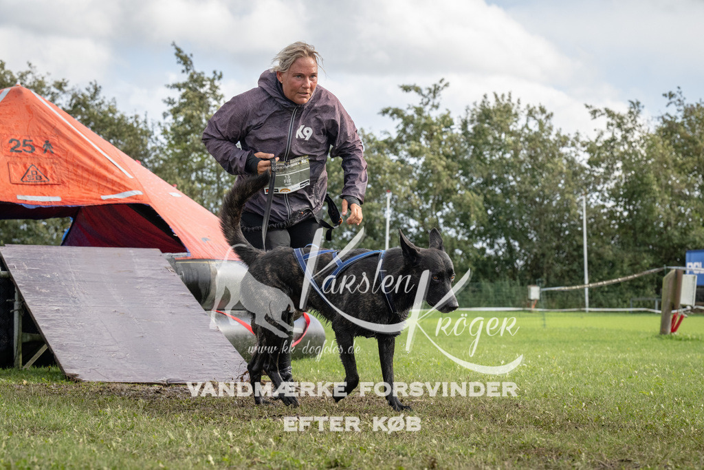 1418-93883 | kk-dogfotos