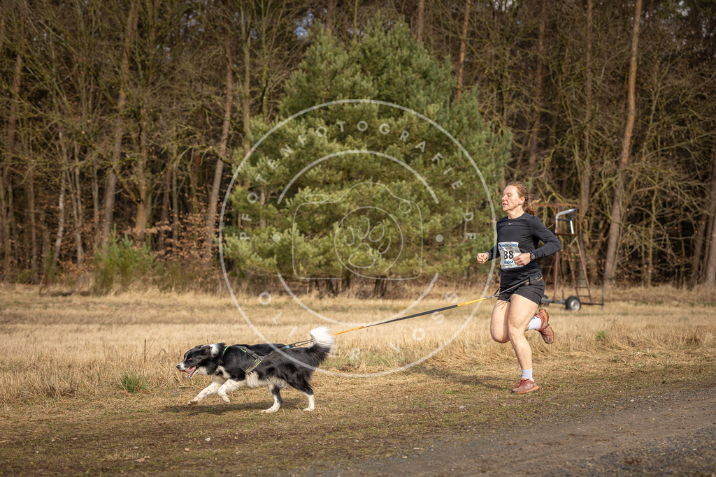 DV3A3899 | Hundefotografie, Tierfotograf, Pfotenfotografie, Fotoshooting Hund, Hunde Portrait, Hundesport, Hundeportraits, Heideshooting, Hunde, Sportfotograf, Hundefotograf, Turnierhundsport, THS,  - Realisiert mit Pictrs.com