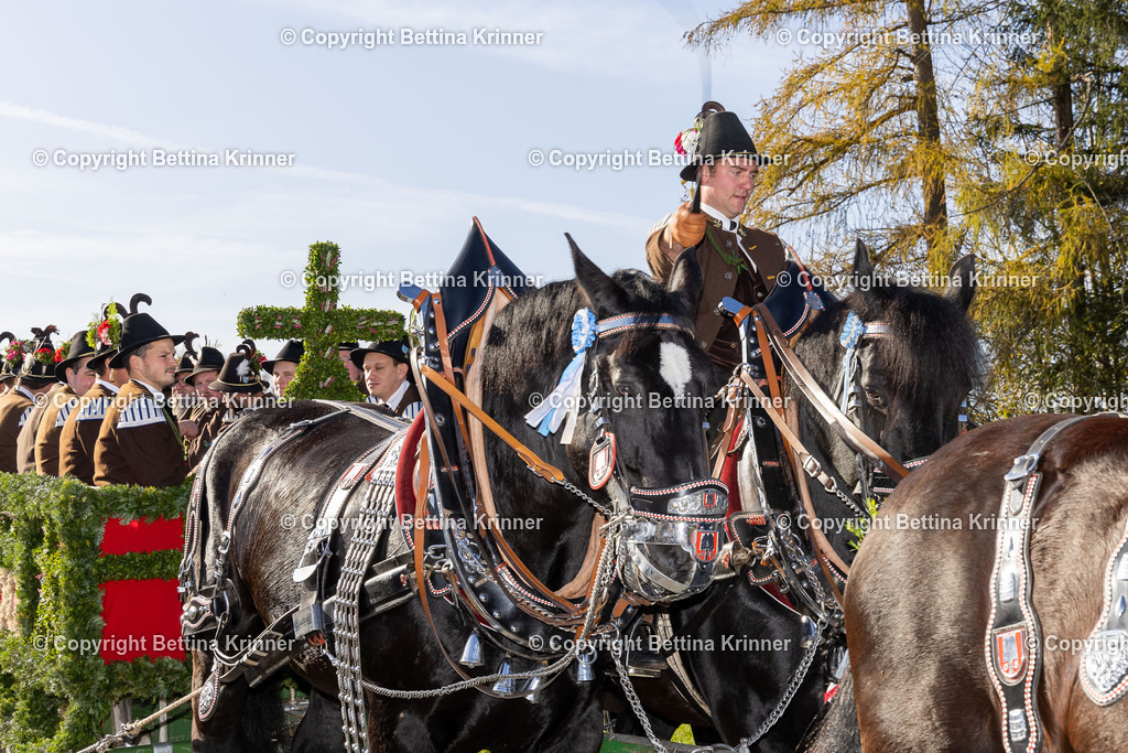 LBT24-1438 | foto-bettina-krinner - Realisiert mit Pictrs.com