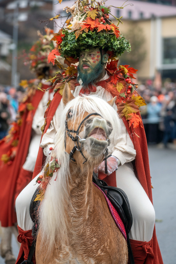 DSC02074 | Professioneller Fotograf - Bildbestellung online - Wandbilder vom Profi für ihr Zuhause, Büro, Praxis, Firma - große Auswahl an Materialien und Formaten, über 1400 regionale Motive