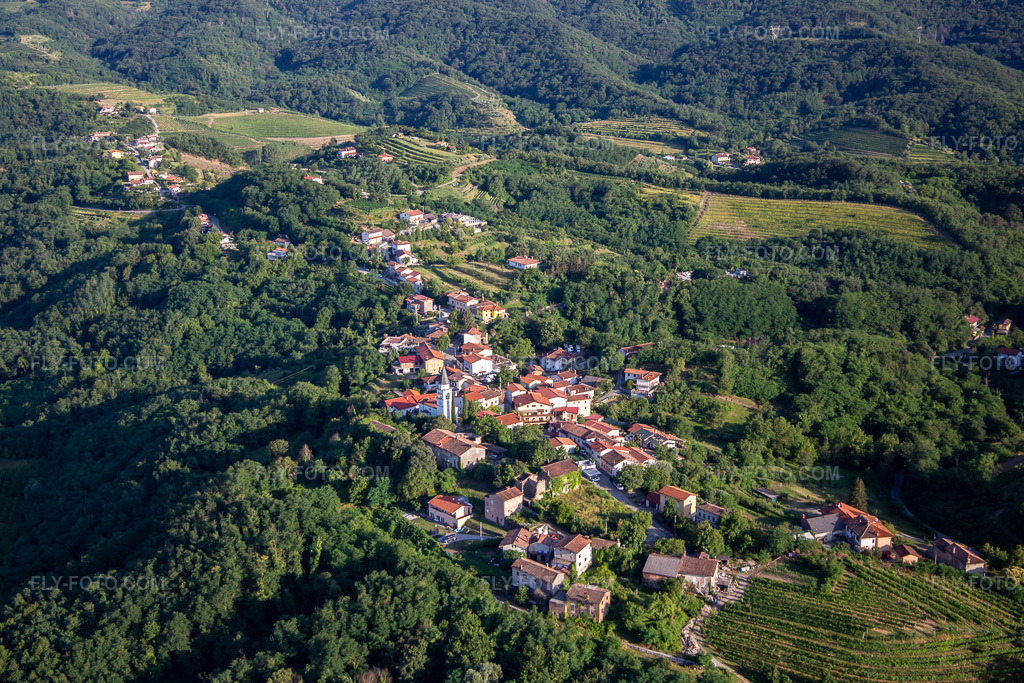 Aerial view: Hill village between vineyards and forest in the district Gradišče nad Prvačino in Nova Gorica in the state Slovenia, Slovenia.Photo: IMG_137469.jpg taken on 07/14/2023 by Werner Riehm/FLY-FOTO.comResolution of the original: 5074 x 3383 px
