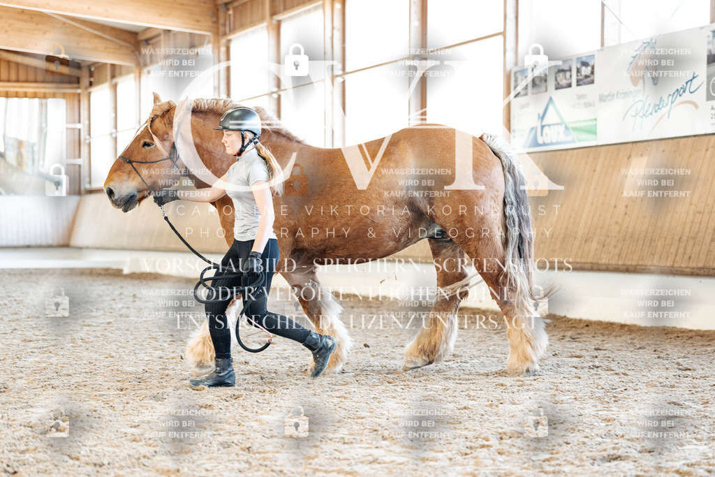 CK906417 | Turnierfotografie Pferdefotografie Trier Rheinland-Pfalz Pferdesport Reitsport Tierfotografie Sportfotografie Pferdevideo Pferdevideografie Equestrianvideography equestrianphotography  - Realisiert mit Pictrs.com