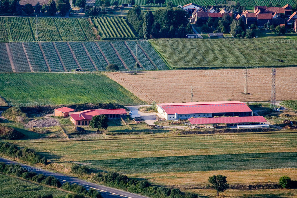 Luftbild: Hühnerhof Eierfarm in Erlenbach bei Kandel im Bundesland Rheinland-Pfalz in Deutschland. Foto: IMG_11721.jpg vom 25.07.2008 durch Werner Riehm/FLY-FOTO.de