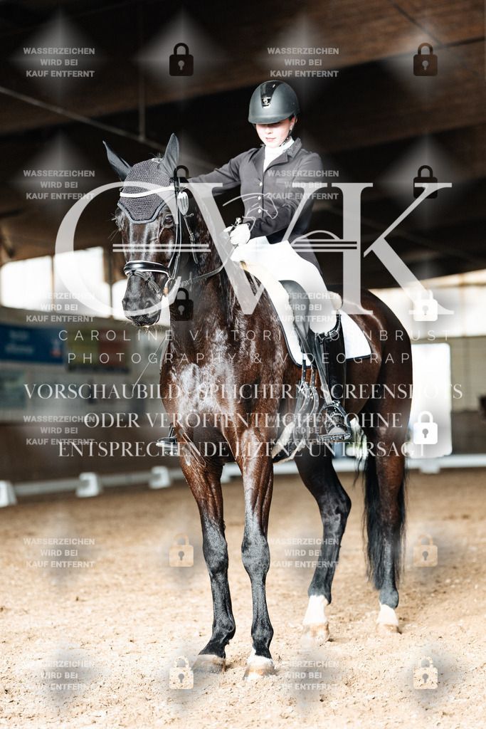 CK902885 | Turnierfotografie Pferdefotografie Trier Rheinland-Pfalz Pferdesport Reitsport Tierfotografie Sportfotografie Pferdevideo Pferdevideografie Equestrianvideography equestrianphotography  - Realisiert mit Pictrs.com