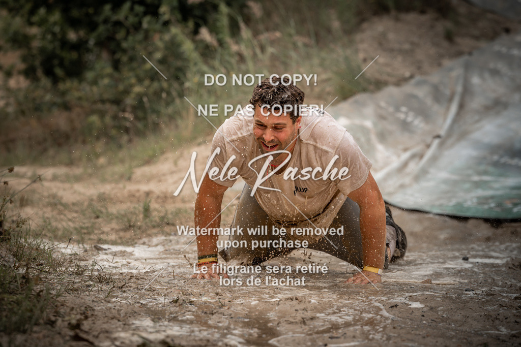 nelerasche_sa1200-1230_445 | nelerasche