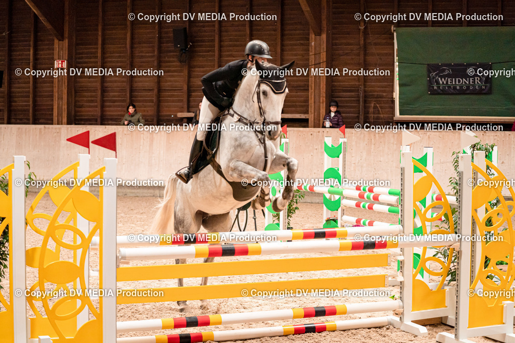 Springen Tag 1-339 | dv-media-shop - Realisiert mit Pictrs.com