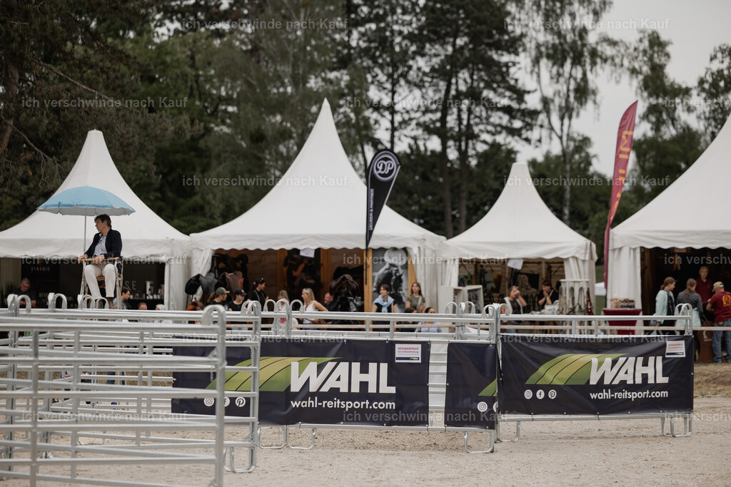 WE__Stoib_Rinder_PI2025_3092 | Pferd International München 2025