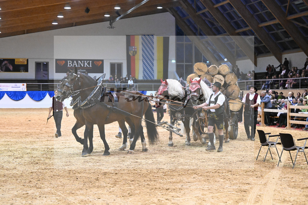 Schauprogramm_54222539 | hf-fotografie - Realizzato con Pictrs.com