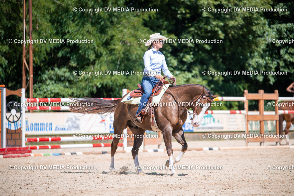 ZS1_1203 | dv-media-shop - Realisiert mit Pictrs.com