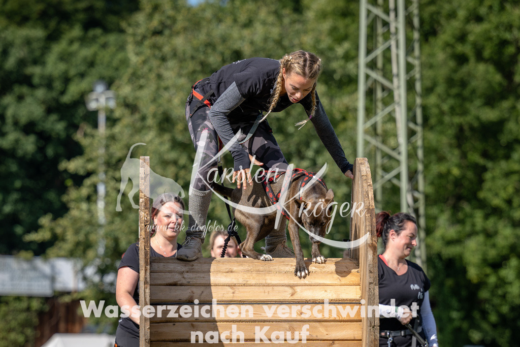 1131_ZZ90392 | kk-dogfotos