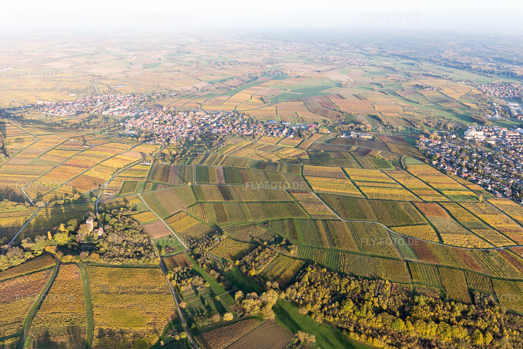 Luftbild: Schweigen, Sonnenberg im Ortsteil Schweigen in Schweigen-Rechtenbach im Bundesland Rheinland-Pfalz in Deutschland. Foto: IMG_104432.jpg vom 31.10.2017 durch Werner Riehm/FLY-FOTO.de