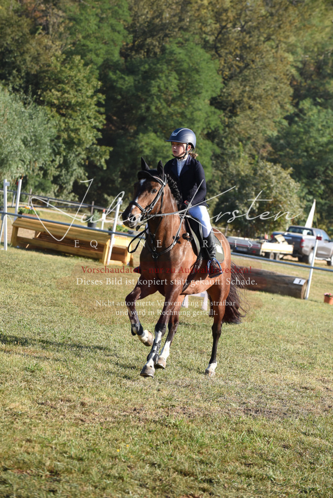 DSC_5110 | Pferde- und Turnierfotografie in Westsachsen. Pferdeportraits, Auftragszeichnungen und intuitive Kunst.