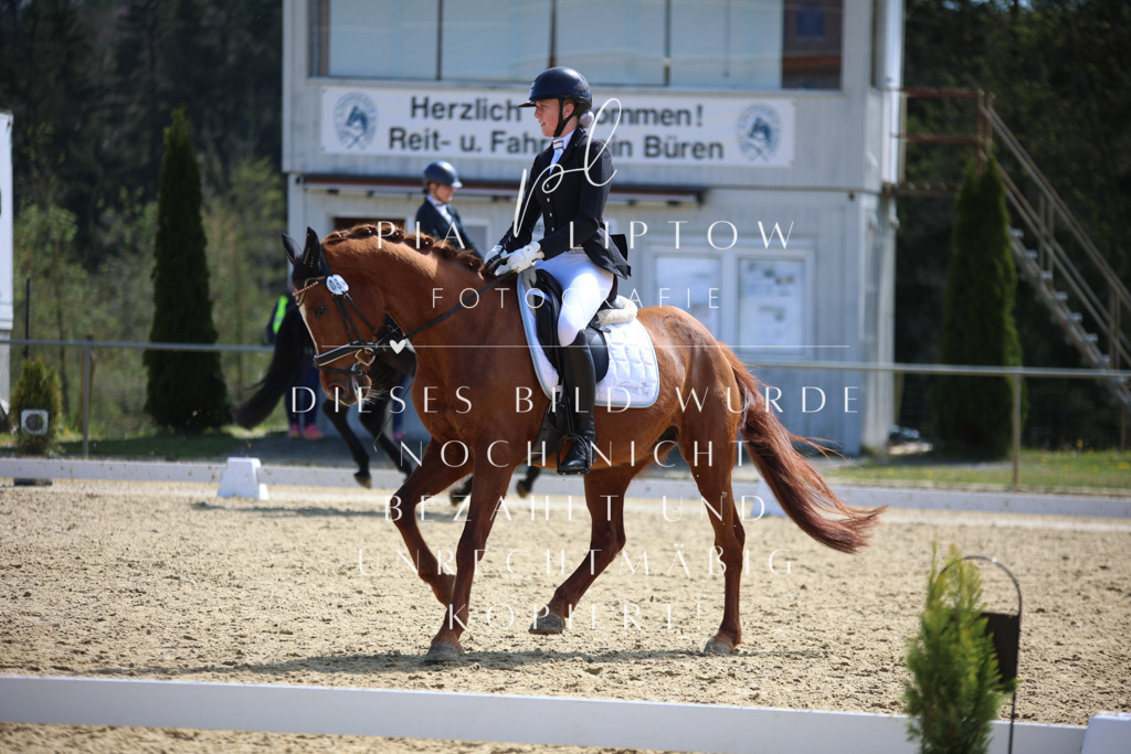 IMGT1918 | pl-fotografie