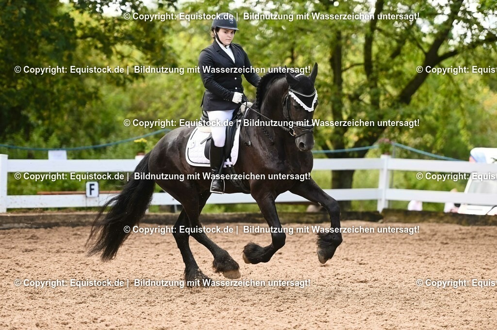 20230716_04_Dressurreiterprüfung Kl.A_0369 | equistock