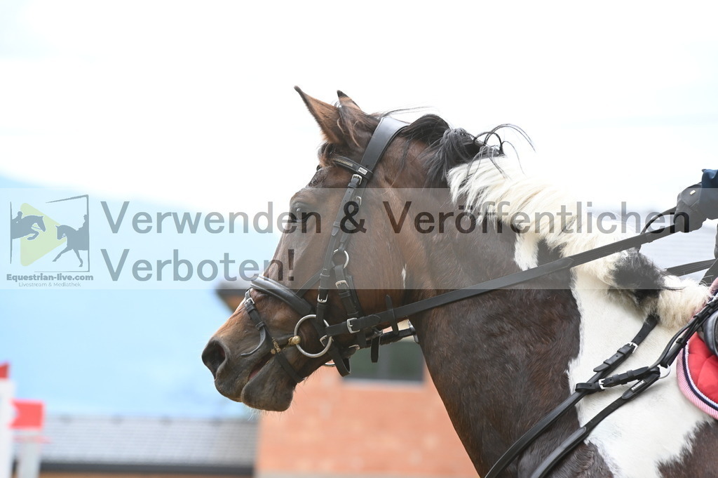DSC_8226 | equestrian-live-com