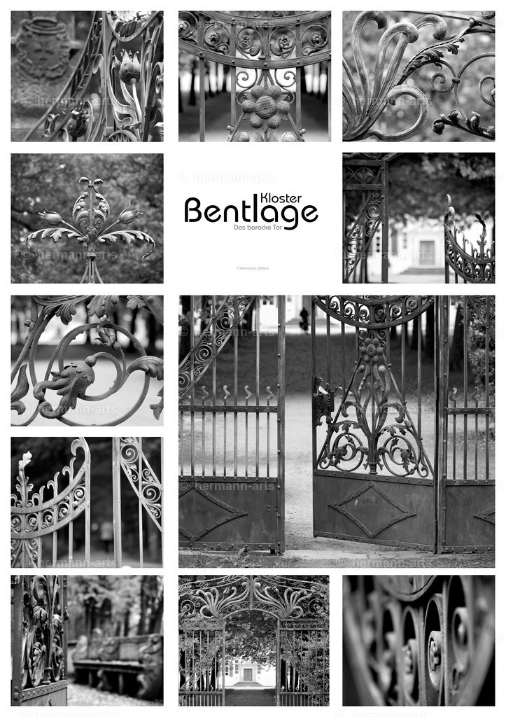 Hermann-Arts_collagen_045 | Photo Foto Kunst Art schwarzweiss Bilder Rheine Münster Berlin Blumen 