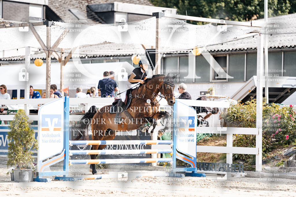 CK909095 | Turnierfotografie Pferdefotografie Trier Rheinland-Pfalz Pferdesport Reitsport Tierfotografie Sportfotografie Pferdevideo Pferdevideografie Equestrianvideography equestrianphotography  - Realisiert mit Pictrs.com