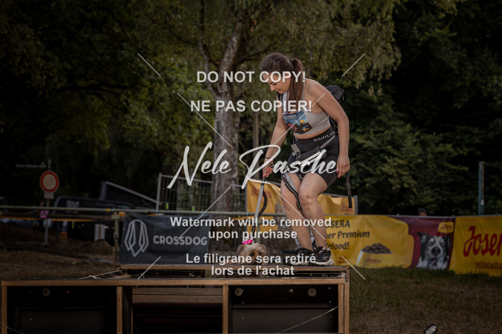 nelerasche_SummerNights26_SaBrücke2030-2100_287 | nelerasche
