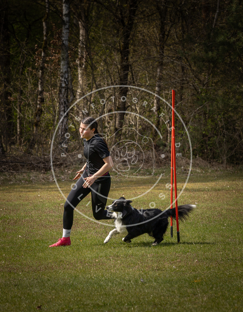 Pfotenfotografie_DV3A5060 | Hundefotografie, Tierfotograf, Pfotenfotografie, Fotoshooting Hund, Hunde Portrait, Hundesport, Hundeportraits, Heideshooting, Hunde, Sportfotograf, Hundefotograf, Turnierhundsport, THS,  - Realisiert mit Pictrs.com