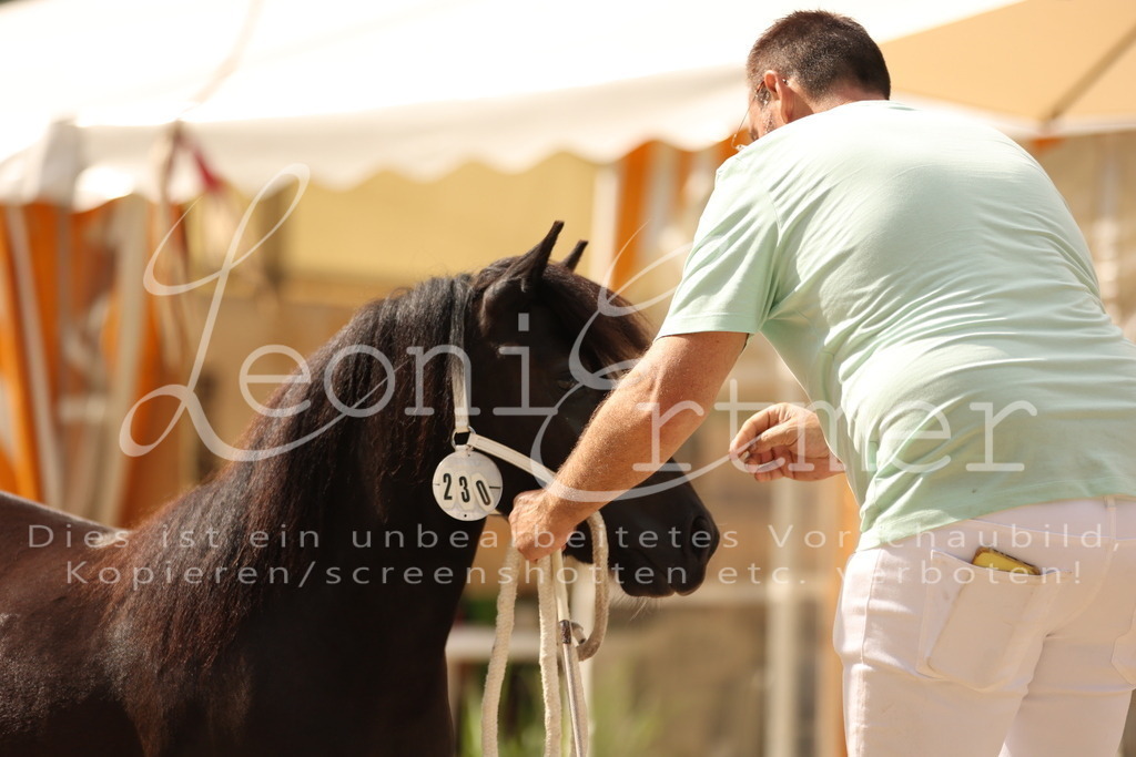 02.So00081 | Leoni Ertmer Photography - Realisiert mit Pictrs.com