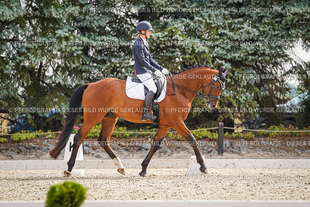 DSC07564 | Pferdegrafie