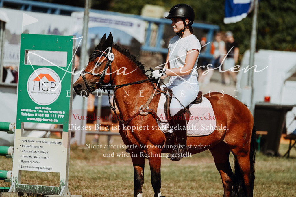 DSC_9946 | Pferde- und Turnierfotografie in Westsachsen. Pferdeportraits, Auftragszeichnungen und intuitive Kunst.