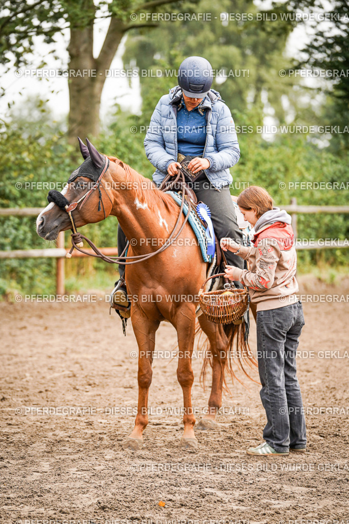 DSC04588 | Pferdegrafie