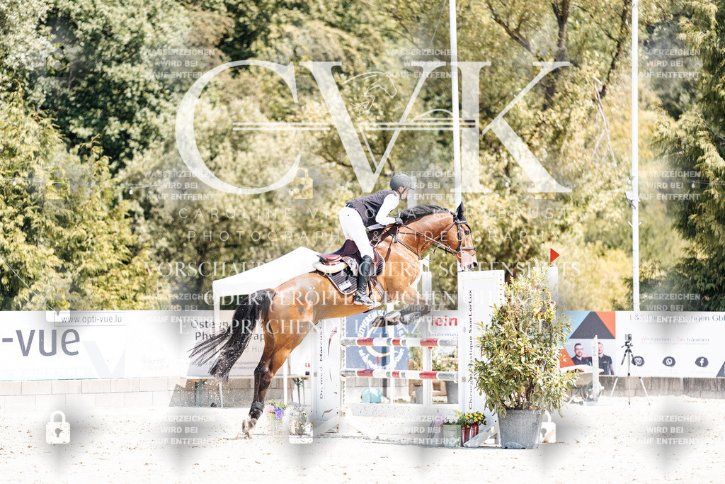 CK900612 | Turnierfotografie Pferdefotografie Trier Rheinland-Pfalz Pferdesport Reitsport Tierfotografie Sportfotografie Pferdevideo Pferdevideografie Equestrianvideography equestrianphotography  - Realisiert mit Pictrs.com