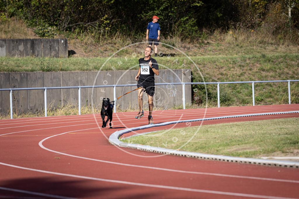 Pfotenfotografie_DV3A9798 | Hundefotografie, Tierfotograf, Pfotenfotografie, Fotoshooting Hund, Hunde Portrait, Hundesport, Hundeportraits, Heideshooting, Hunde, Sportfotograf, Hundefotograf, Turnierhundsport, THS,  - Realisiert mit Pictrs.com