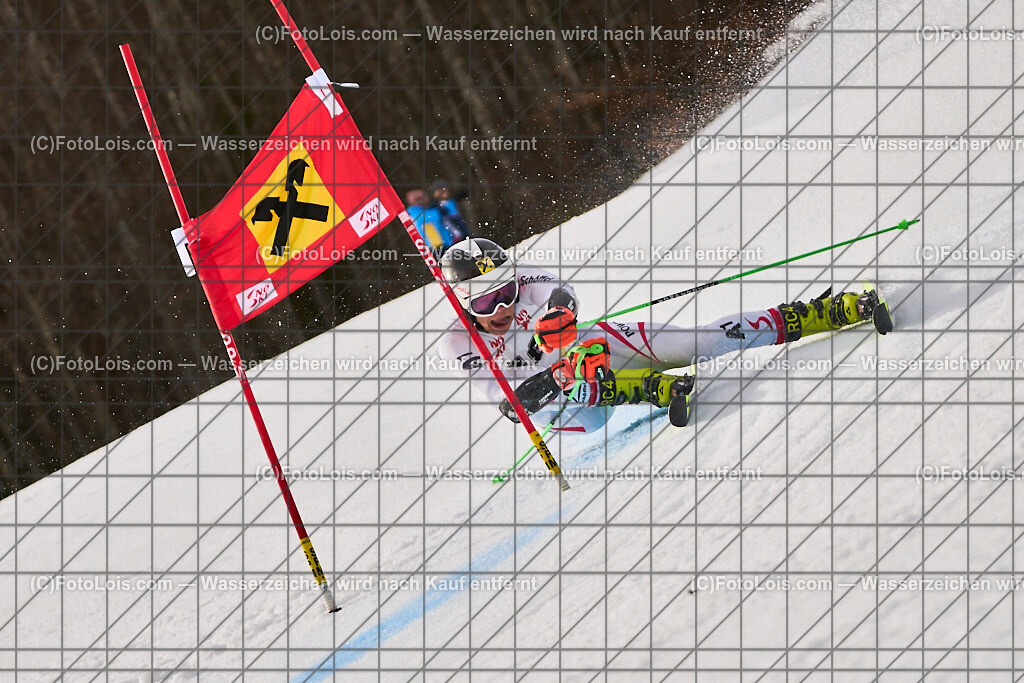 ALP7883_Herrn-FIS-GS-II_Lackenhof-WY_Toenig Luis | Internationaler FIS GiantSlalom der Herrn auf der Distelpiste in Lackenhof am Di 11. März 2025.  Österreich, LSV-NÖ, Sportunion Waidhofen/Ybbs (2035).