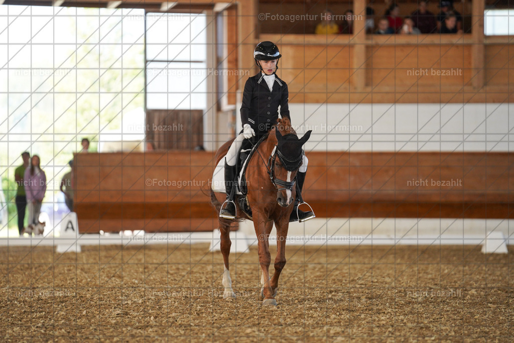 20240824-FAH07209 | Thierhaupten 2024, Bayerisches Landesponyturnier, Turnierbilder, Ponybilder, Turnierfotografen Bayern, Fotoagentur Herrmann