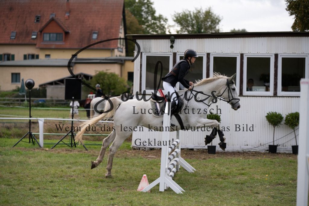 A7V06397 | Pferdefotograf