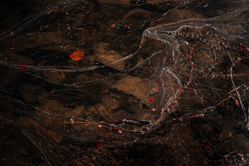 IMG_3189 | ap-design // andreas plenk - Realisiert mit Pictrs.com