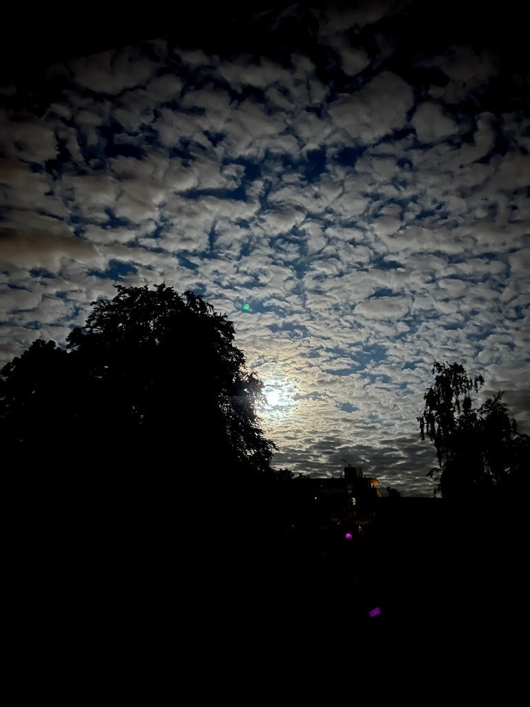 IMG_7063 | ace - Realisiert mit Pictrs.com