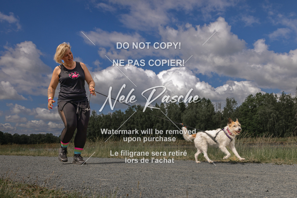 nelerasche_BuHu2026_SaCC1100-1200_37 | nelerasche