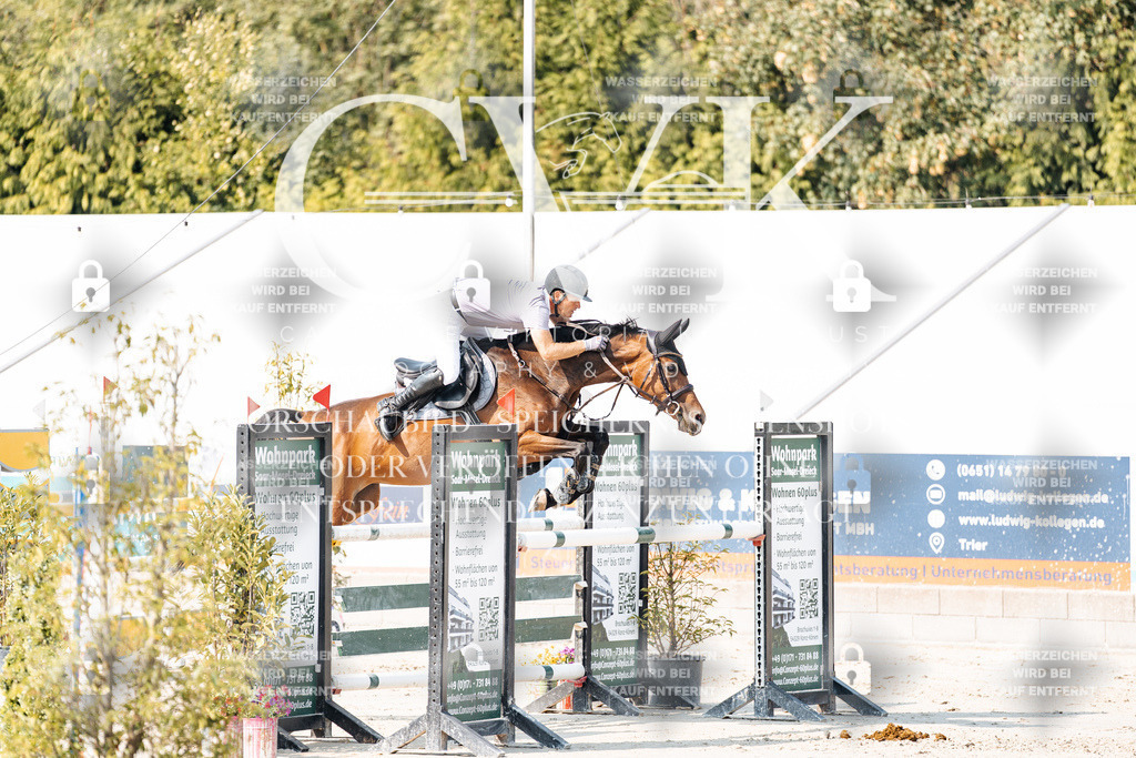 CK902506 | Turnierfotografie Pferdefotografie Trier Rheinland-Pfalz Pferdesport Reitsport Tierfotografie Sportfotografie Pferdevideo Pferdevideografie Equestrianvideography equestrianphotography  - Realisiert mit Pictrs.com