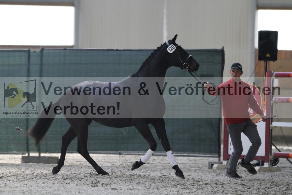 _MG_9801 | equestrian-live-com