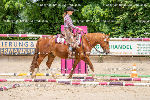 Zeiskam Tag 2-2784 | dv-media-shop - Realized with Pictrs.com