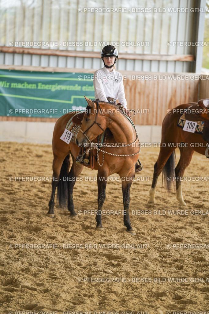 DSC09363 | Pferdegrafie