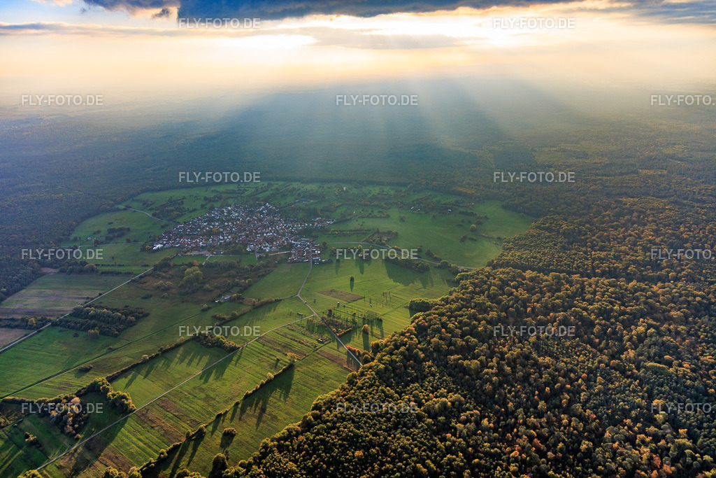 Ort in einer Lichtung des Bienwalds im Gegenlicht | Luftbild: Ort in einer Lichtung des Bienwalds im Gegenlicht im Ortsteil Büchelberg in Wörth im Bundesland Rheinland-Pfalz in Deutschland. Foto: IMG_150200.jpg vom 11.10.2025 durch Werner Riehm/FLY-FOTO.de - Realisiert mit Pictrs.com