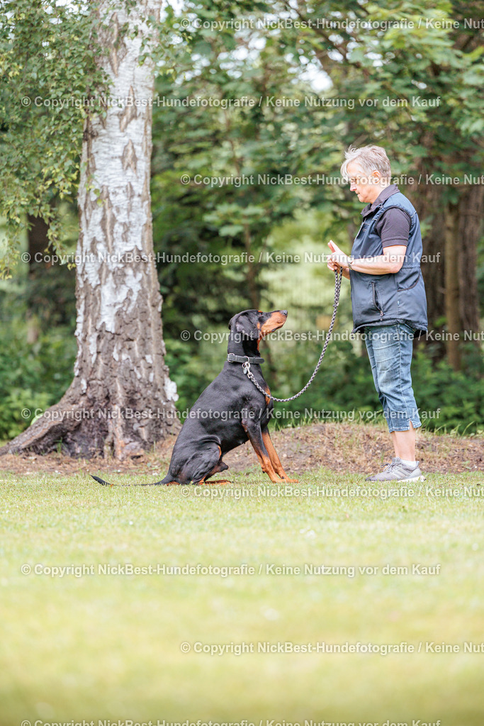 RO-Blumenthal-2026-Nickbest-Hundefotografie-5220 | Dein Hund! Dein Moment! Deine Erinnerungen! Hundefotografie in Bremen Blumenthal. Ich fange die besonderen Momente deines Vierbeiners ein – ob Indoor mit Blitzanlage oder in der freien Natur. Sicher dir dein Moment und dein Termin für eure Erinnerungen.