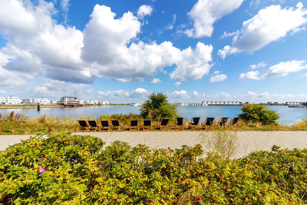 Wandbild: Promenade in Olpenitz | Dieses Wandbild im Querformat zeigt die Promenade in Olpenitz. Im Vordergrund vor der Promenade befinden sich Heckenrosen. Im Uferbereich stehen zahlreiche Liegestühle. Am blauen Himmel sind schöne sommerliche Wolken zu sehen.  - Realisiert mit Pictrs.com