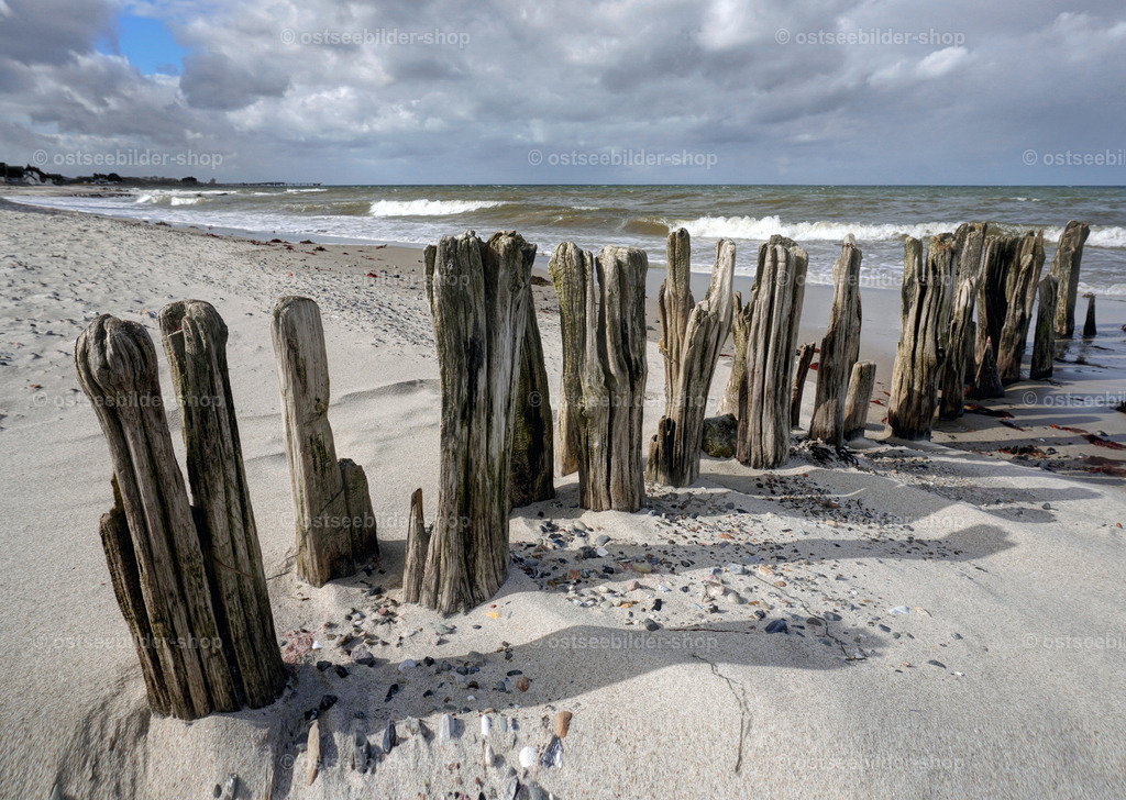 Küstenschutz kann künstlerische Formen annehmen... | Gesplitterte, abgeschliffene Pfähle einer alten Buhne bilden einen reizvollen Kontrast zum feinen Ostseestrand.