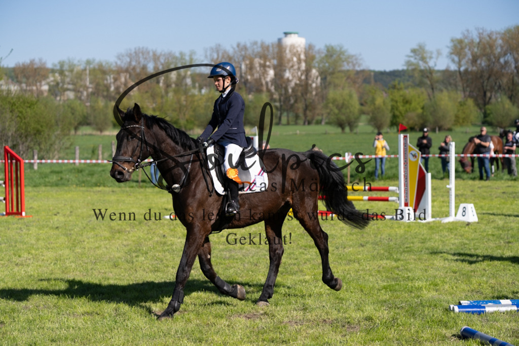 A7V01587 | Pferdefotograf