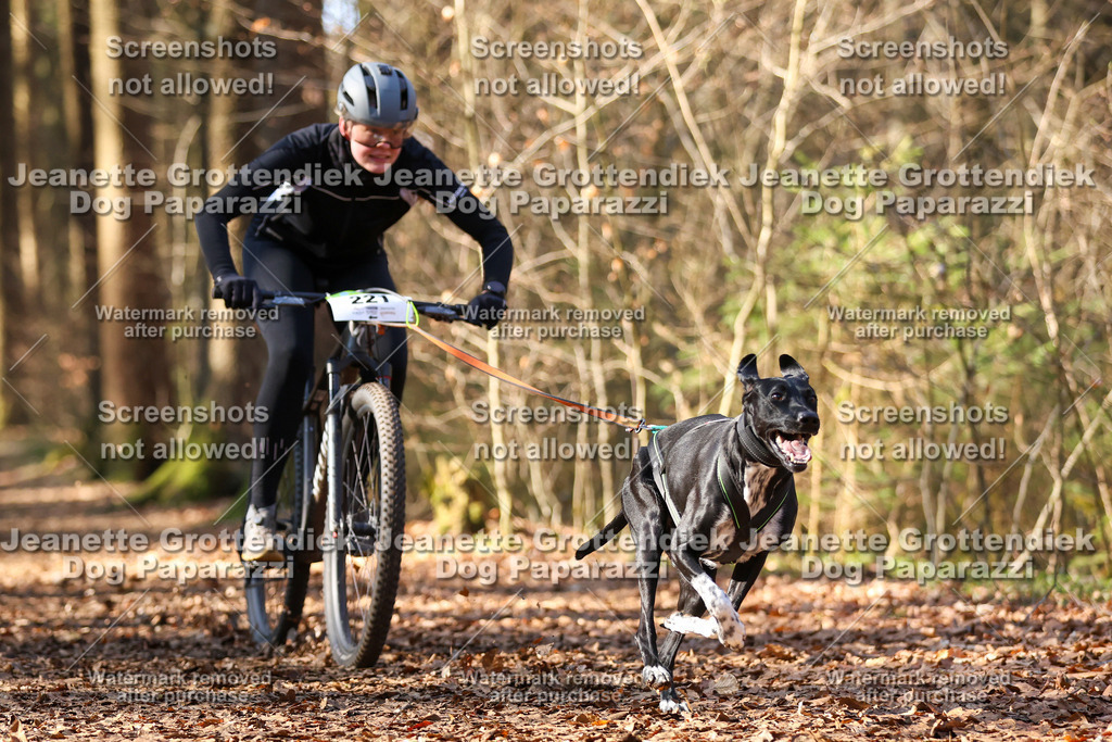 Dog Paparazzi - VCC26-988 | Dog Paparazzi Jeanette Grottendiek Fotografie & Videografie - Realisiert mit Pictrs.com