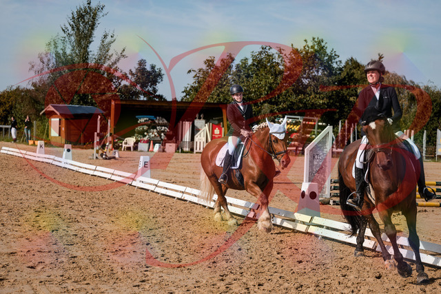 2026_10_03_Siefer-Hof_130444_Z63_67798979 | Professionelle Reitsport-, Turnier- und Eventfotografie von Robert Broda. Galerien mit ausgewählten und bearbeiteten Bildern direkt online ansehen und bestellen.